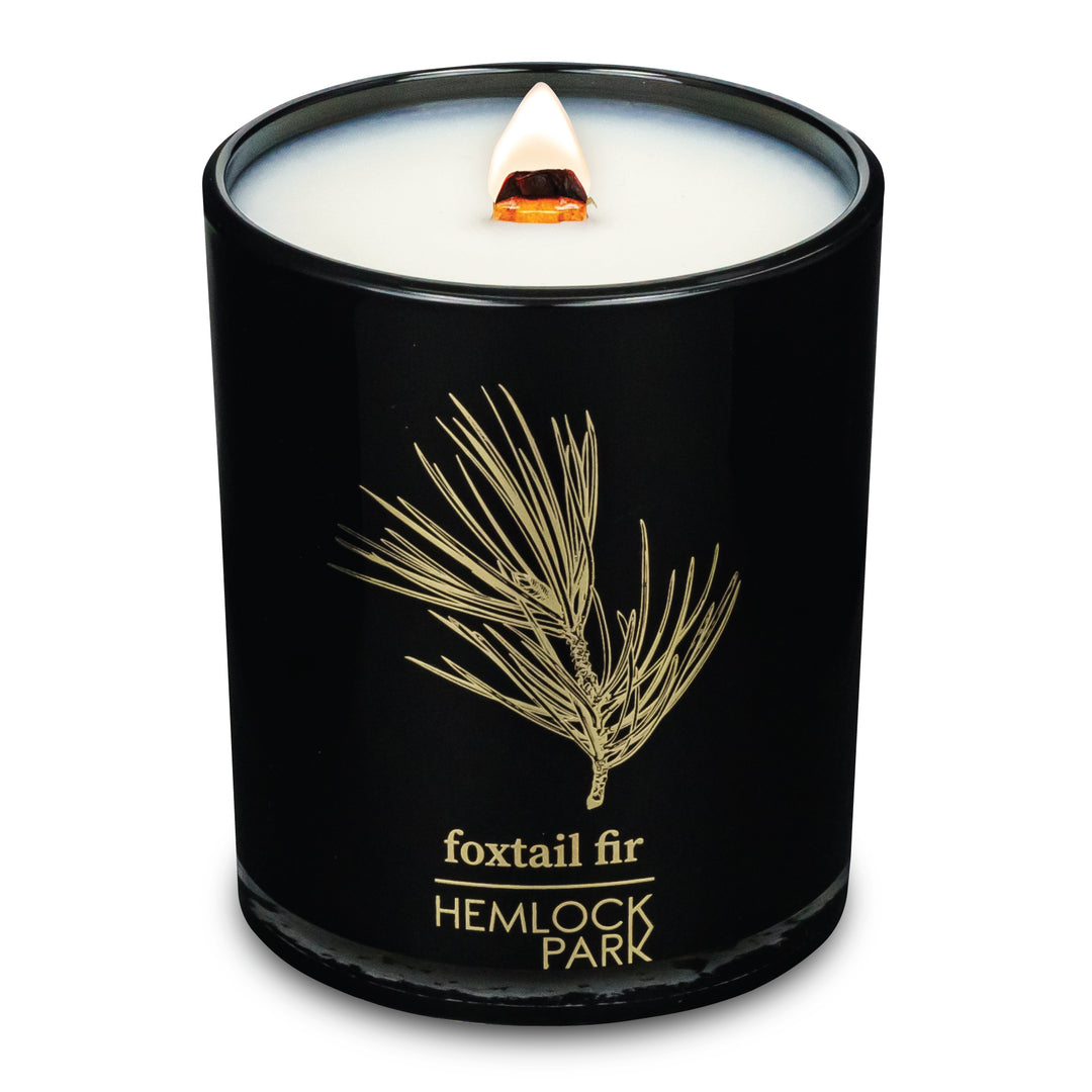 Foxtail Fir | Black & Gold Wood Wick Candle