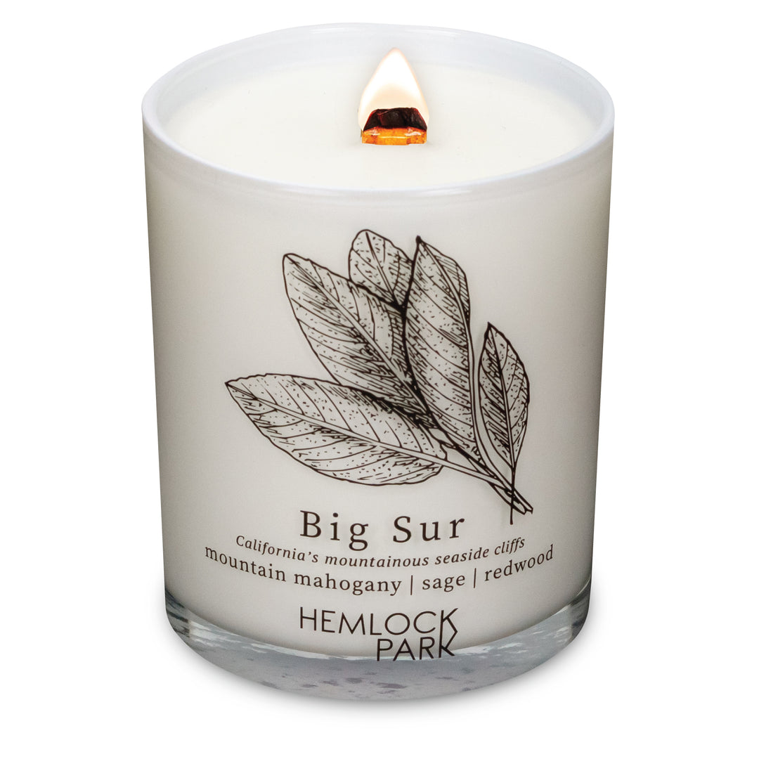 Big Sur | Passport Wood Wick Candle