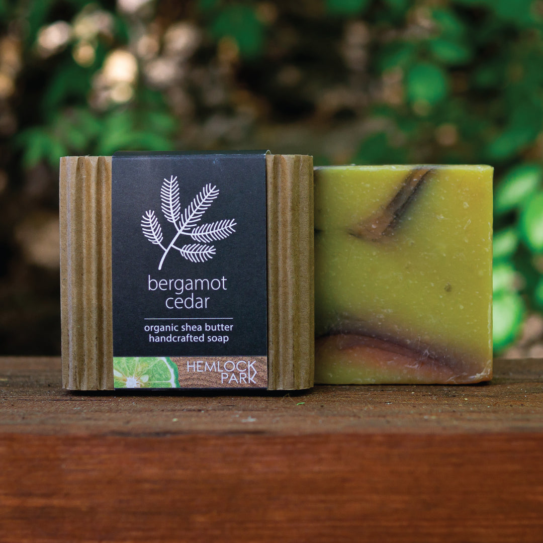 Bergamot Cedar | Organic Soap