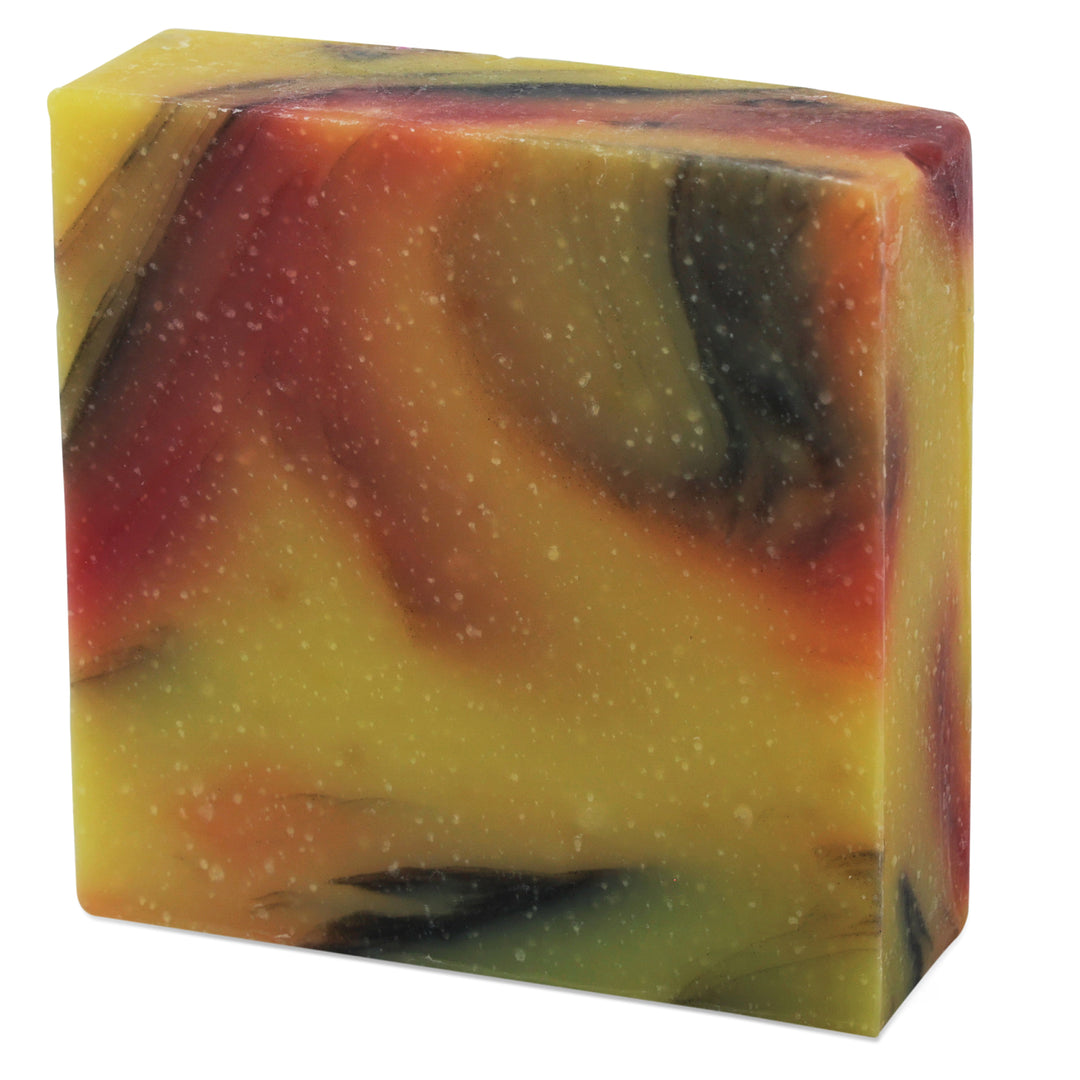 Bergamot Cedar | Organic Soap