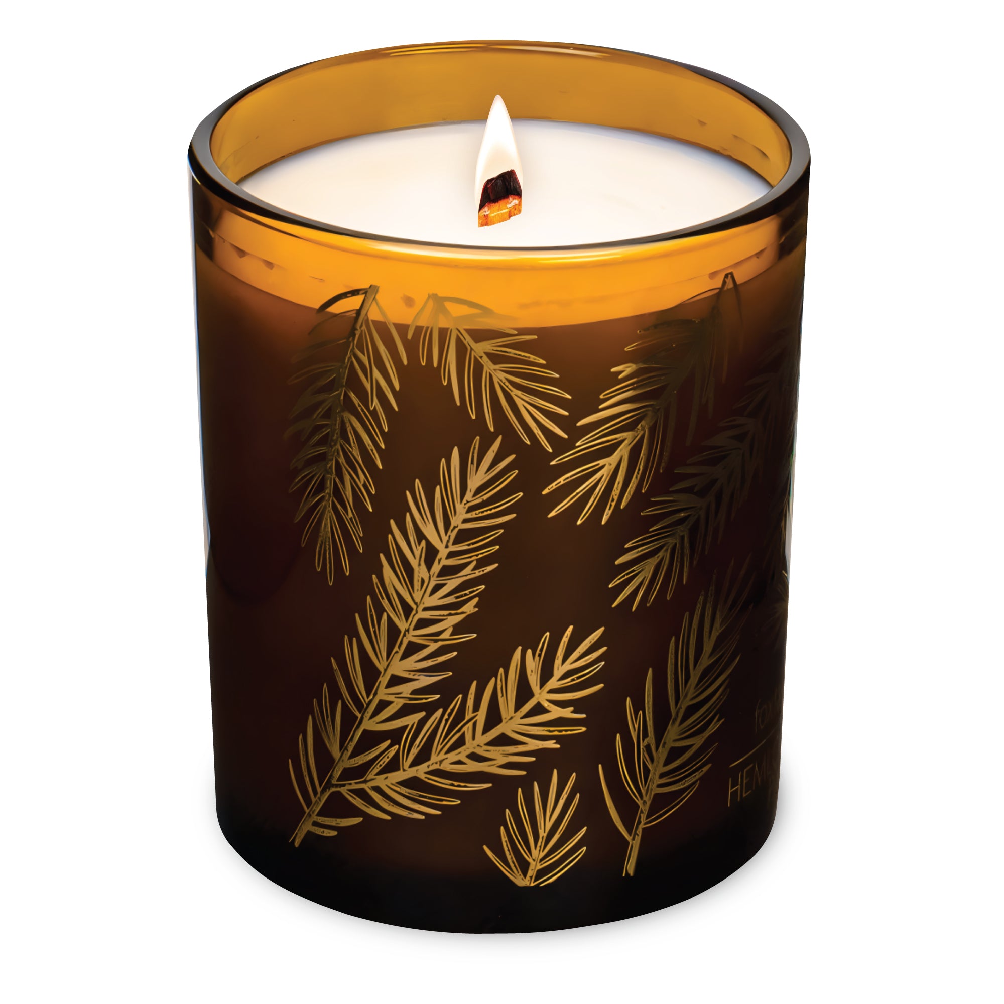 Foxtail Fir | Amber Gold Leaf Wick Candle - Hemlock Park