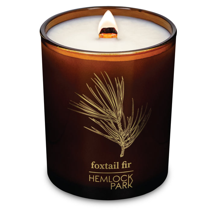 Foxtail Fir | Amber & Gold Wood Wick Candle