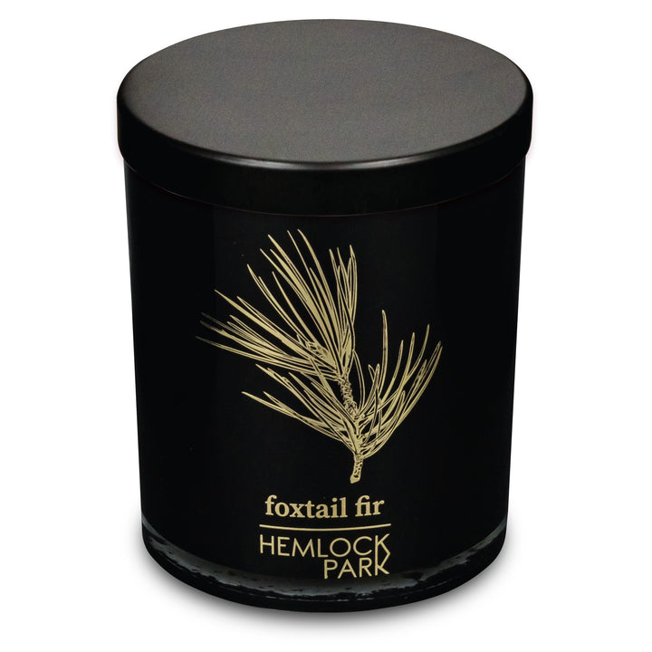 Foxtail Fir | Black & Gold Wood Wick Candle