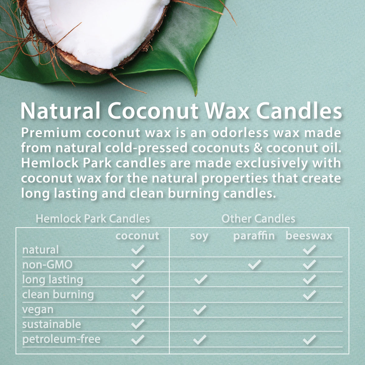 Palo Santo Mountain Sage wood wick candle plant-based coconut wax Hemlock Park 8 oz
