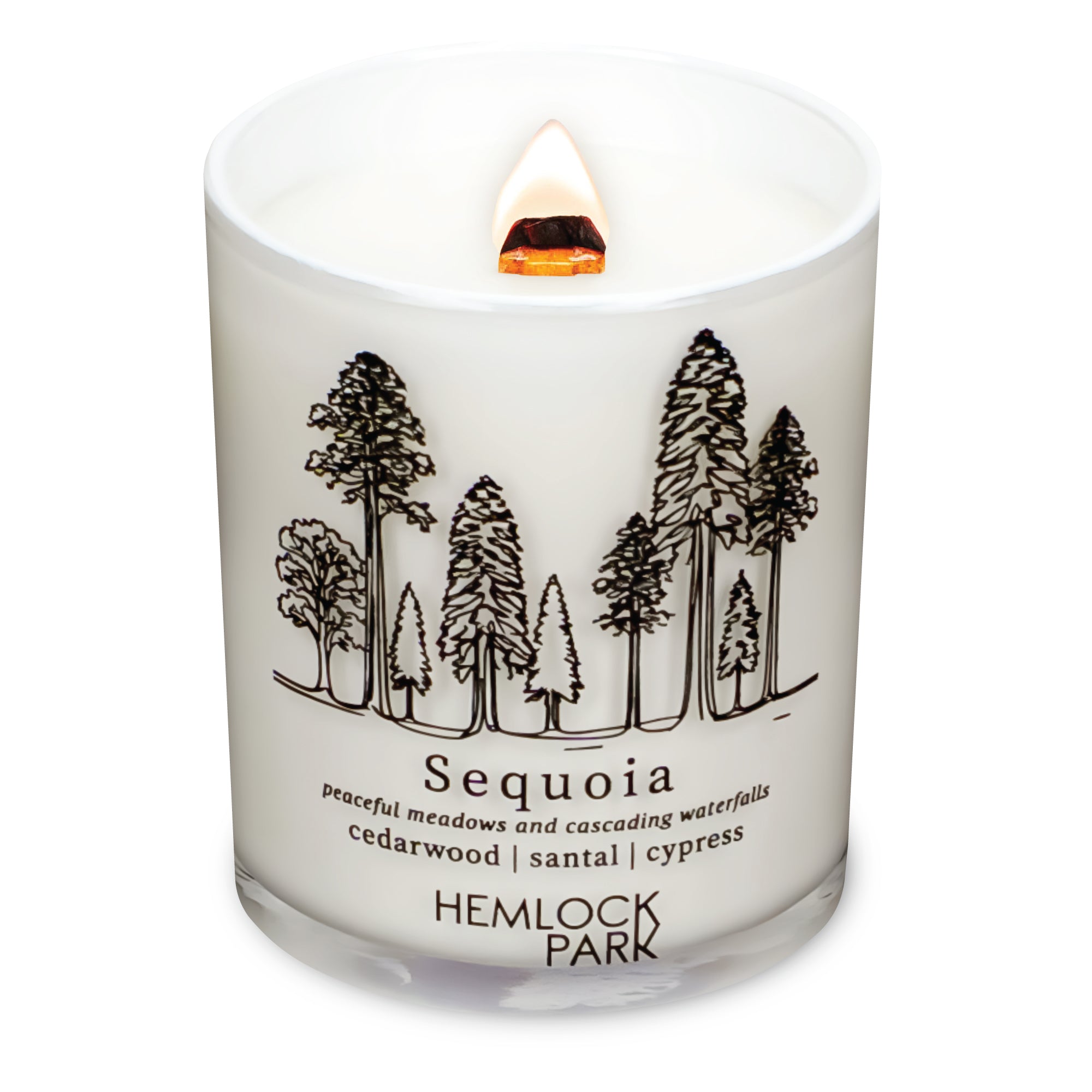 Sequoia wood wick candle plant-based coconut wax Hemlock Park 7.2 oz