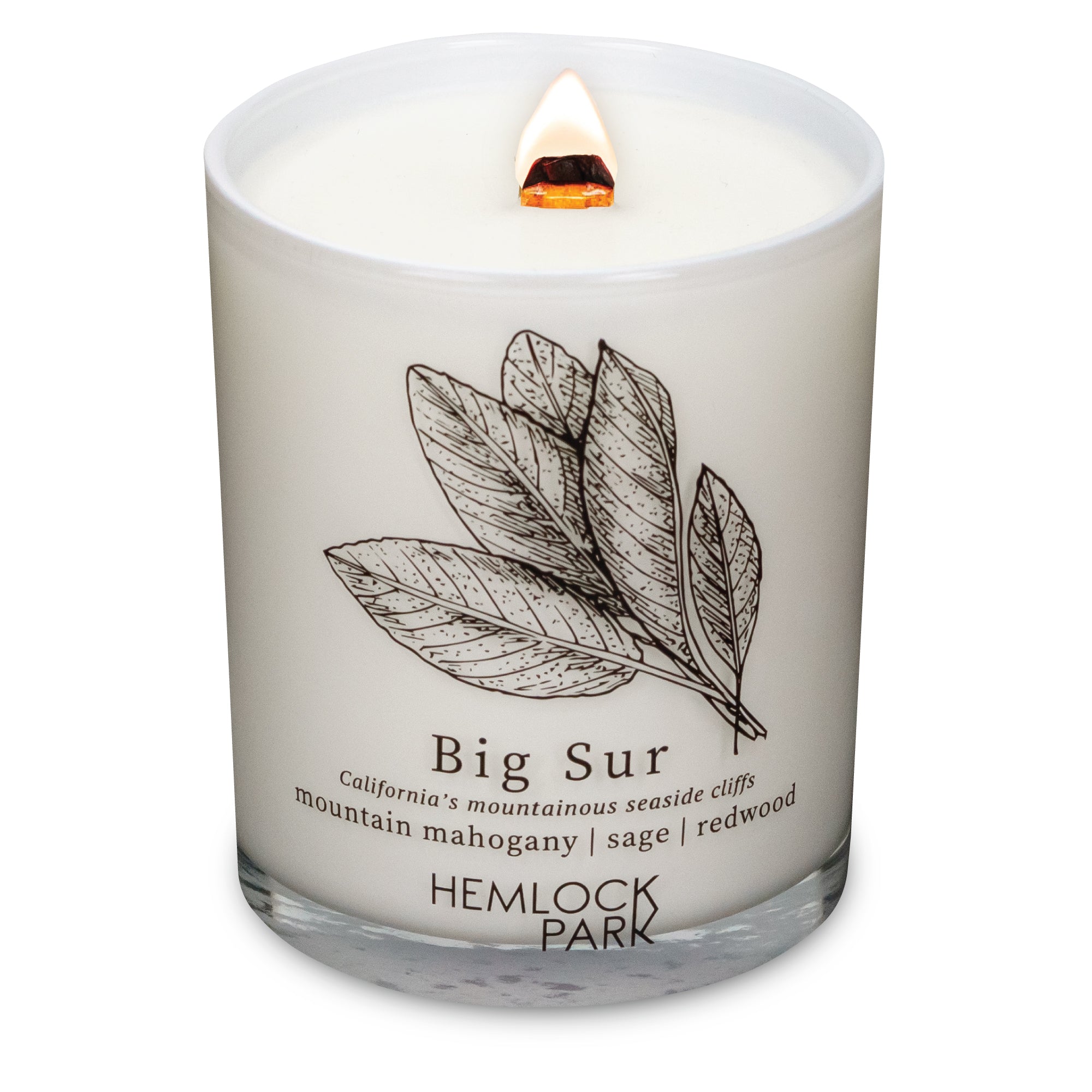 Big Sur wood wick candle plant-based coconut wax Hemlock Park 7.2 oz