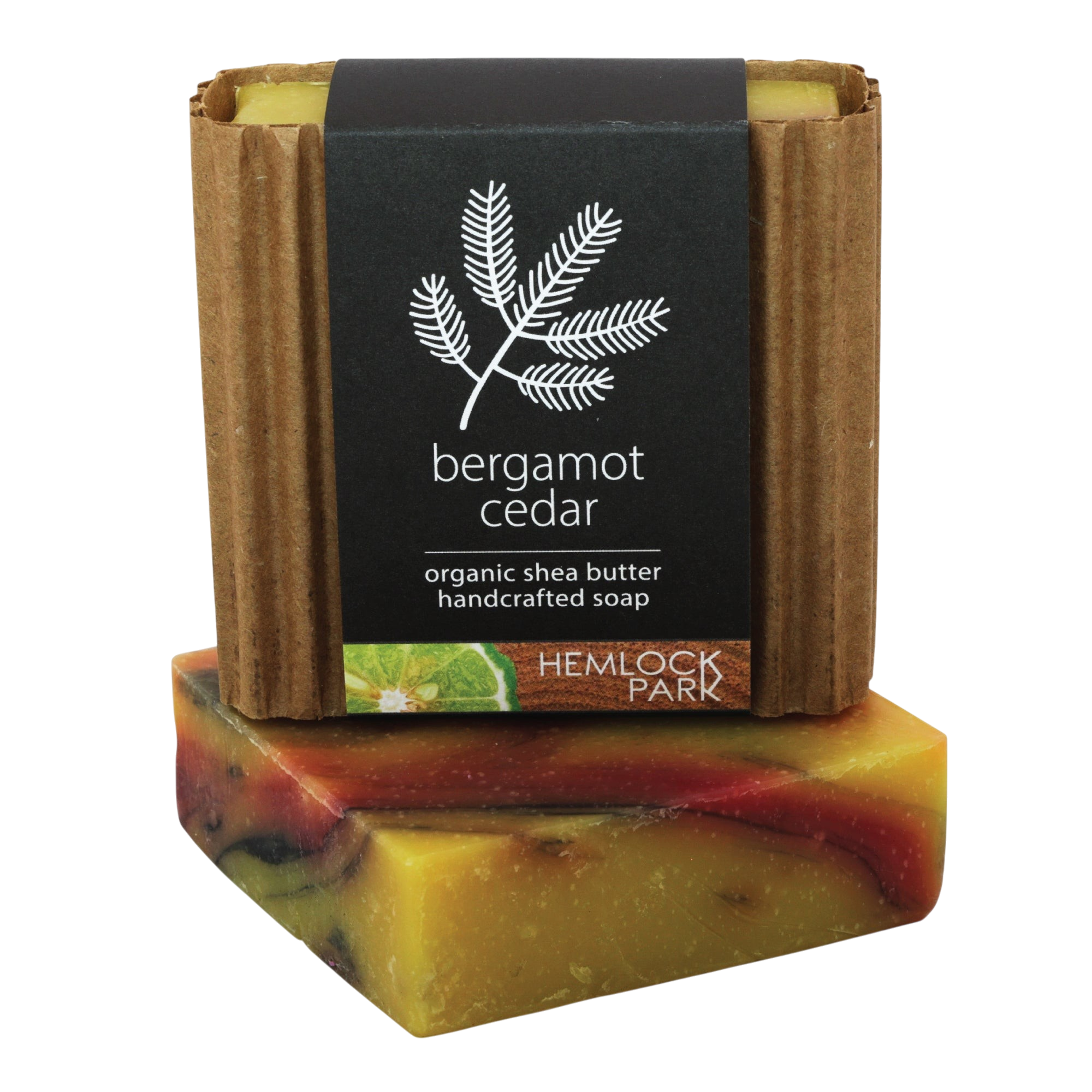 Bergamot Cedar bar soap set 3 pack shea butter plant-based Hemlock Park