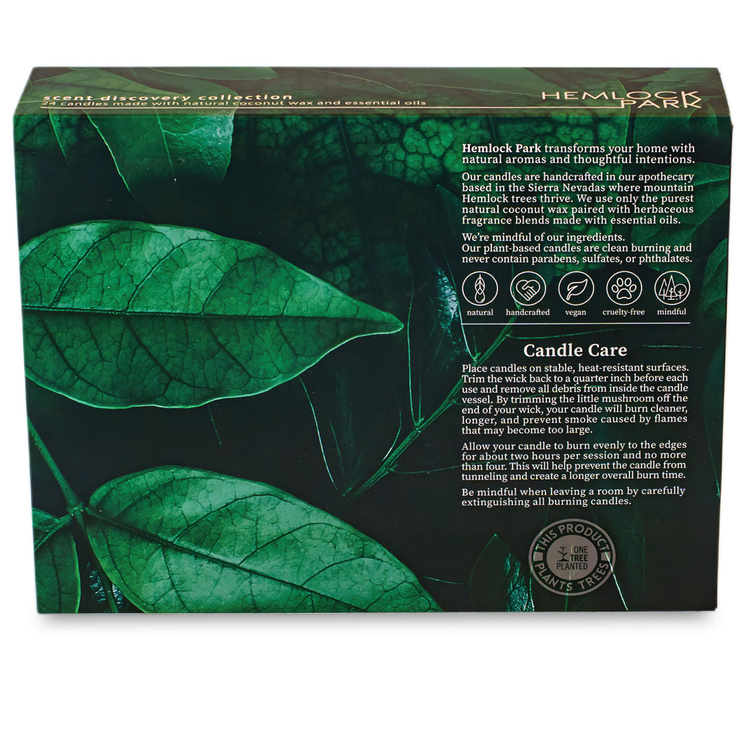 Discovery Collection | 24 Travel-Size Coconut Wax Tea Lights