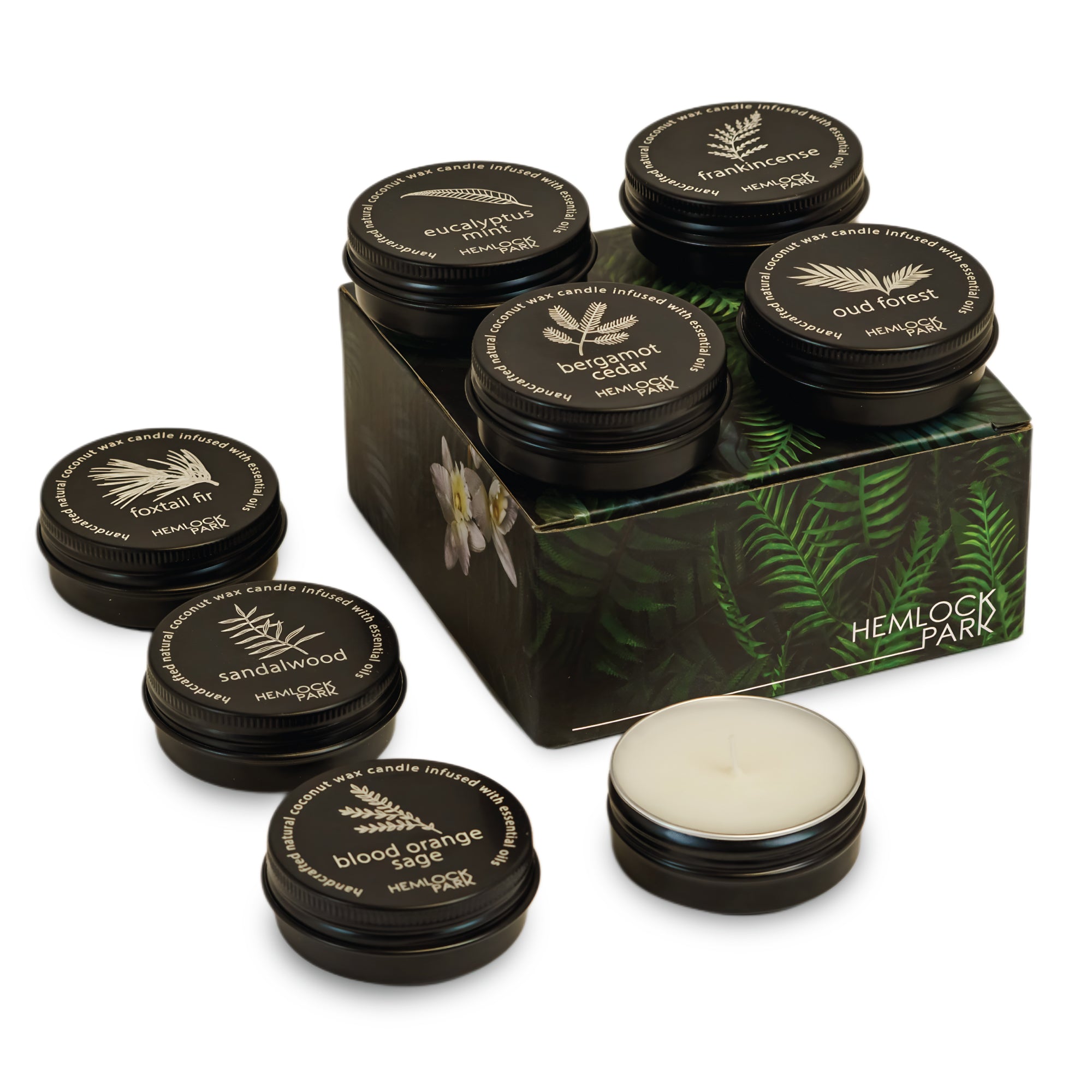 Desert travel candle set plant-based coconut wax Hemlock Park set of 8