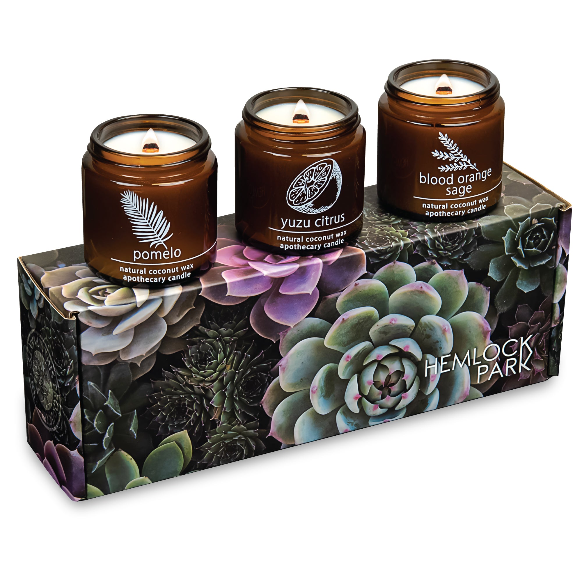 Citrus candle trio gift set plant-based coconut wax Hemlock Park