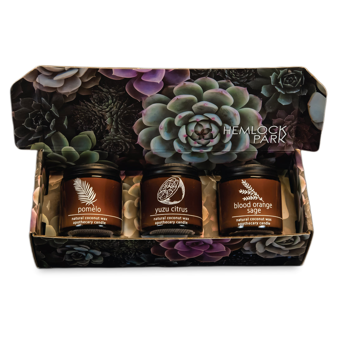 Citrus Apothecary Candle Trio