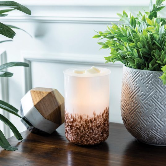 Tiger Shell | Illuminated Glass Wax Melt Warmer