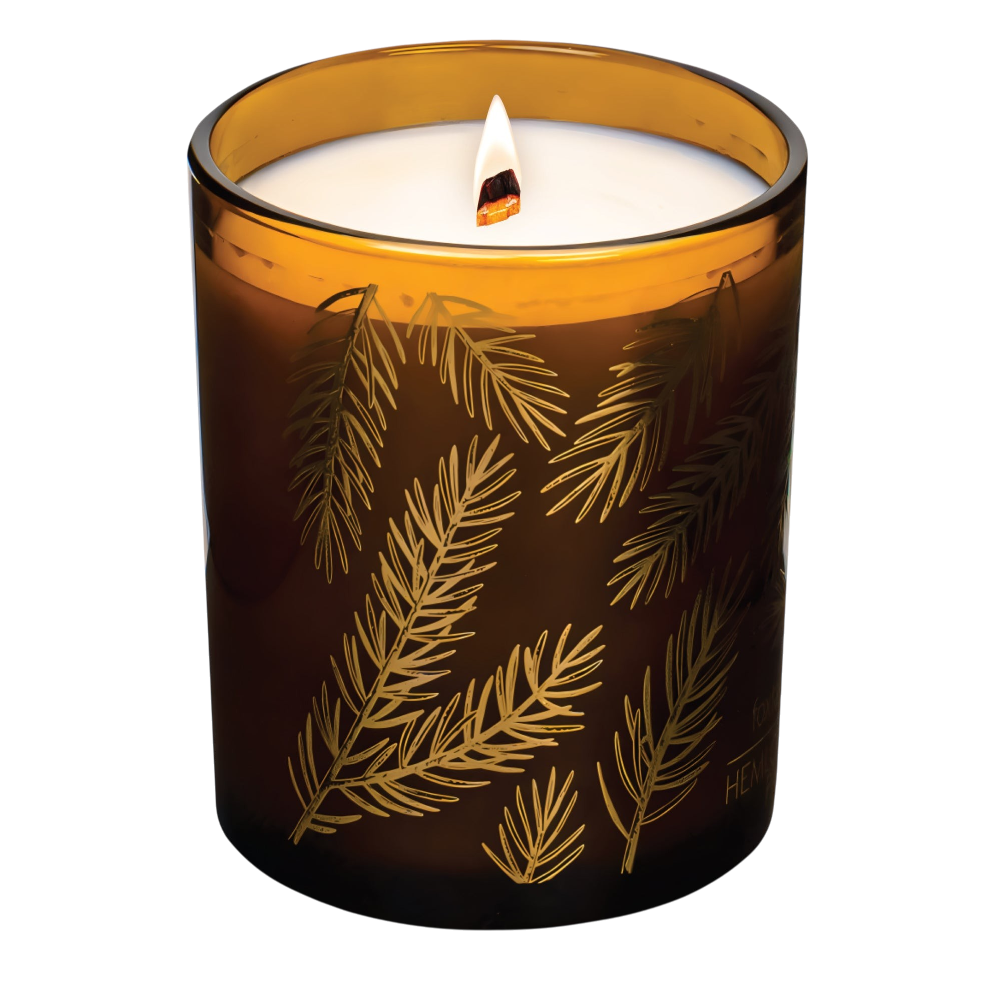 Hemlock Park Foxtail Fir candle in an amber glass jar with gold pine needle illustrations and a wooden wick