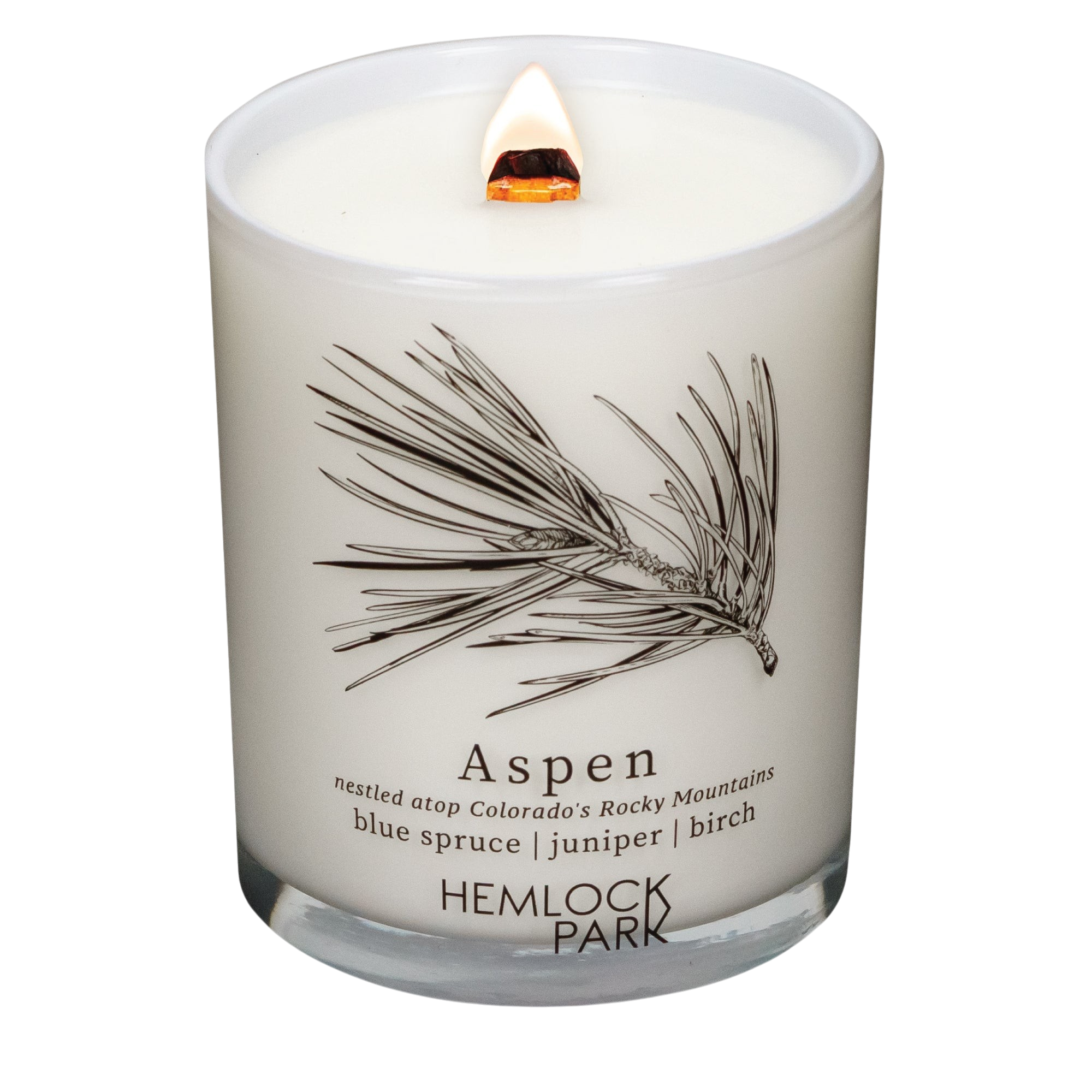 Hemlock Park Aspen Postcards candle in a frosted glass jar with a lit wooden wick and pine branch illustration.