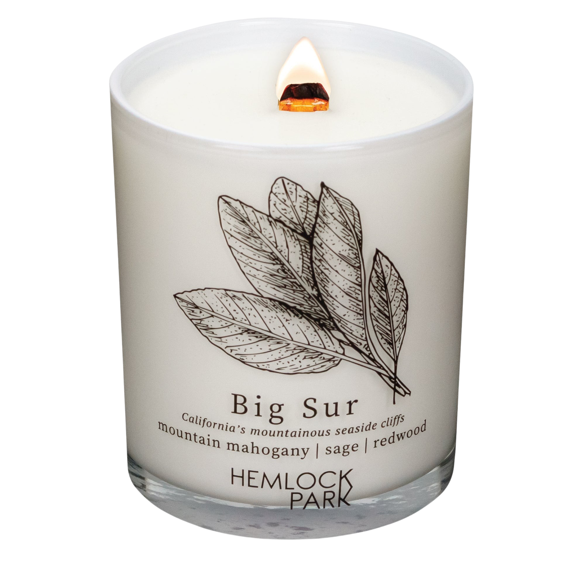 Hemlock Park Big Sur candle in a glass jar with a lit wooden wick and a botanical sage illustration on the label.