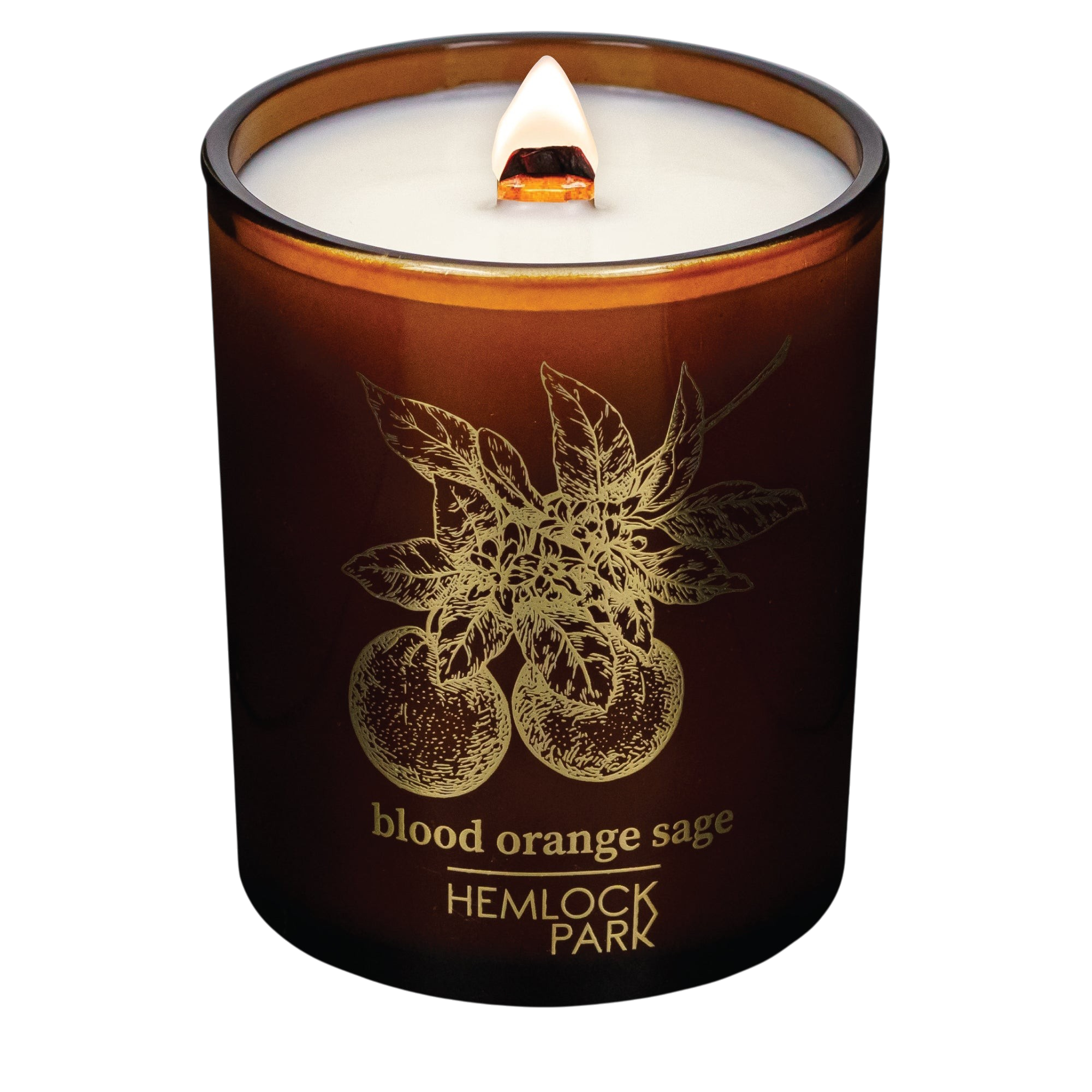 Hemlock Park blood orange and sage scented candle in a brown glass jar with gold botanical illustration