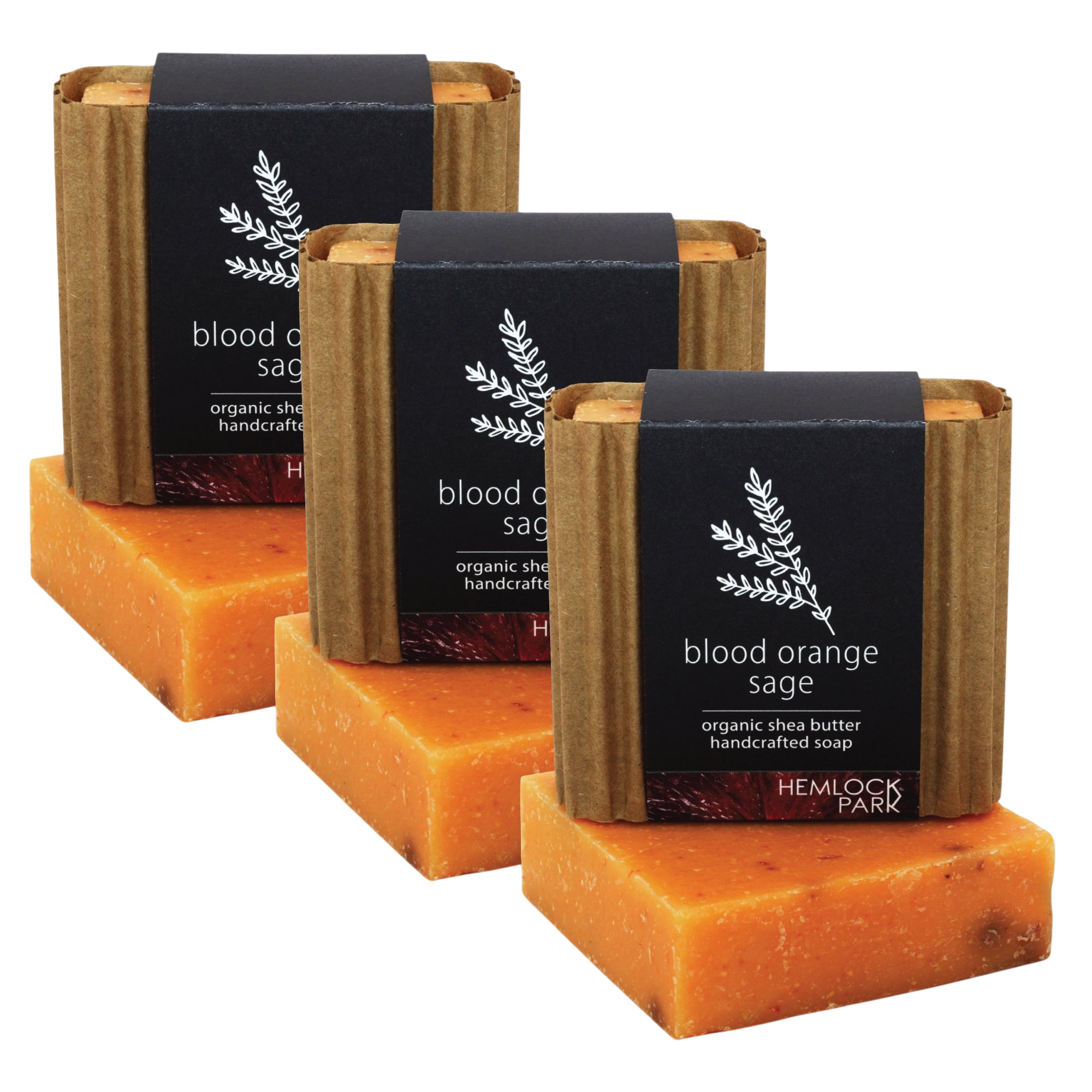 Hemlock Park blood orange and sage organic shea butter handcrafted bar soap set in sustainable paper packaging