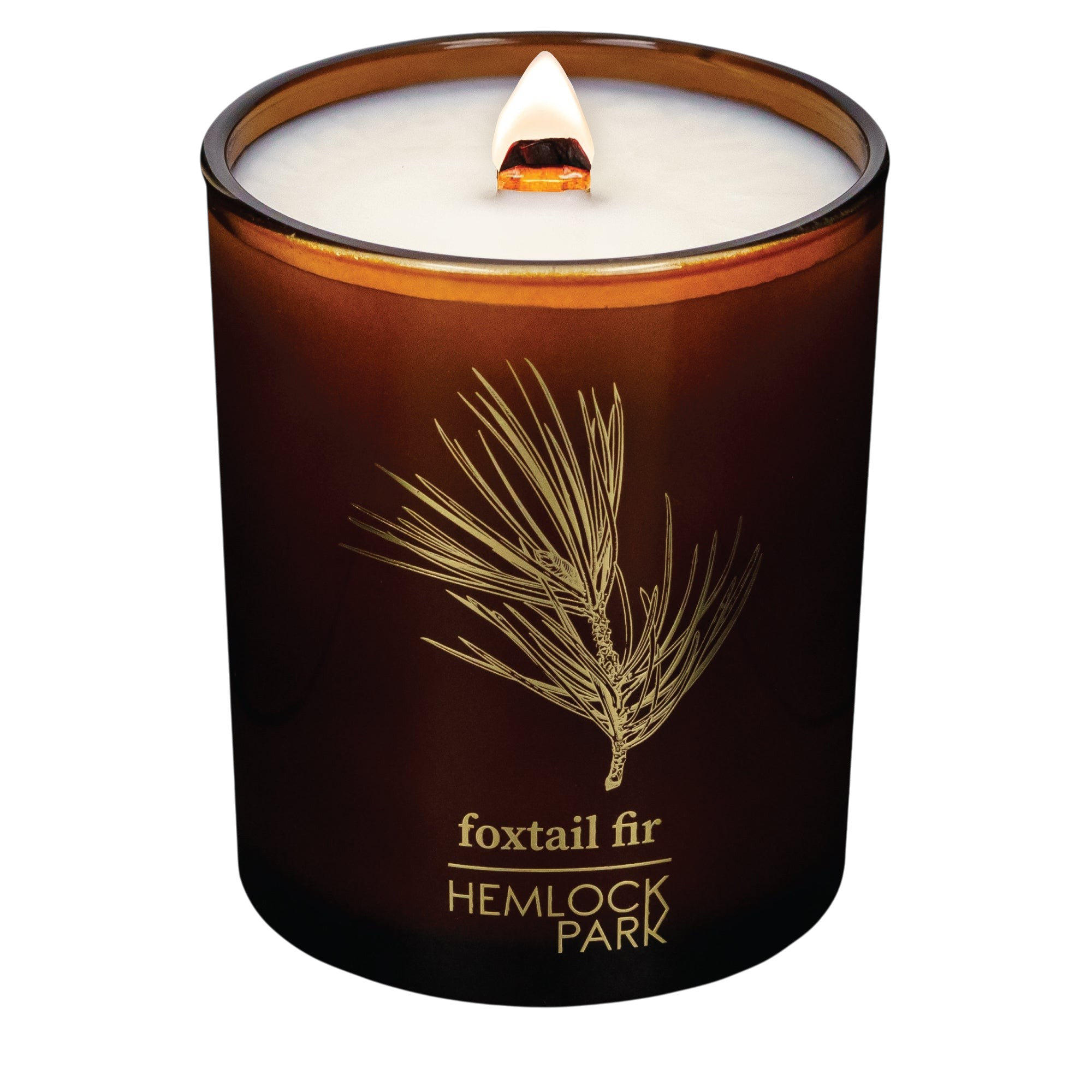 Hemlock Park Foxtail Fir candle in an amber glass jar with a gold pine needle print and a lit wooden wick.