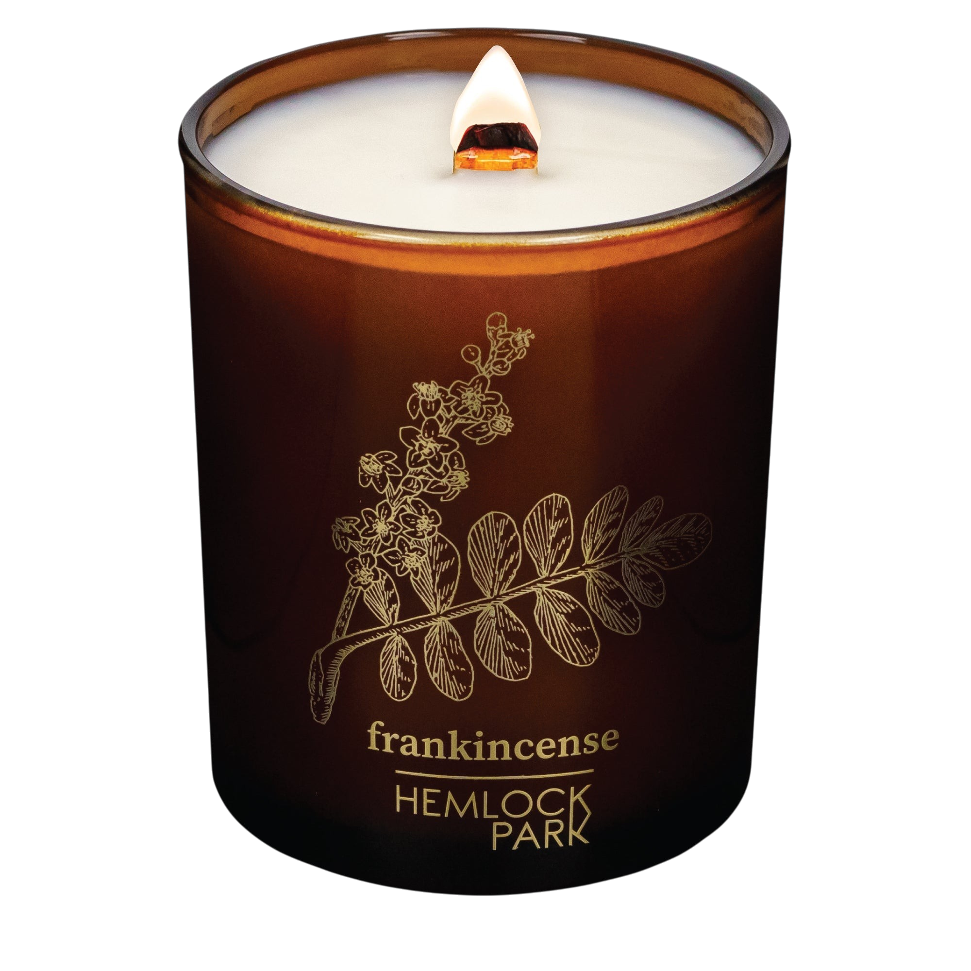Hemlock Park Frankincense Amber & Gold candle in a brown glass jar with a botanical gold print and wooden wick.