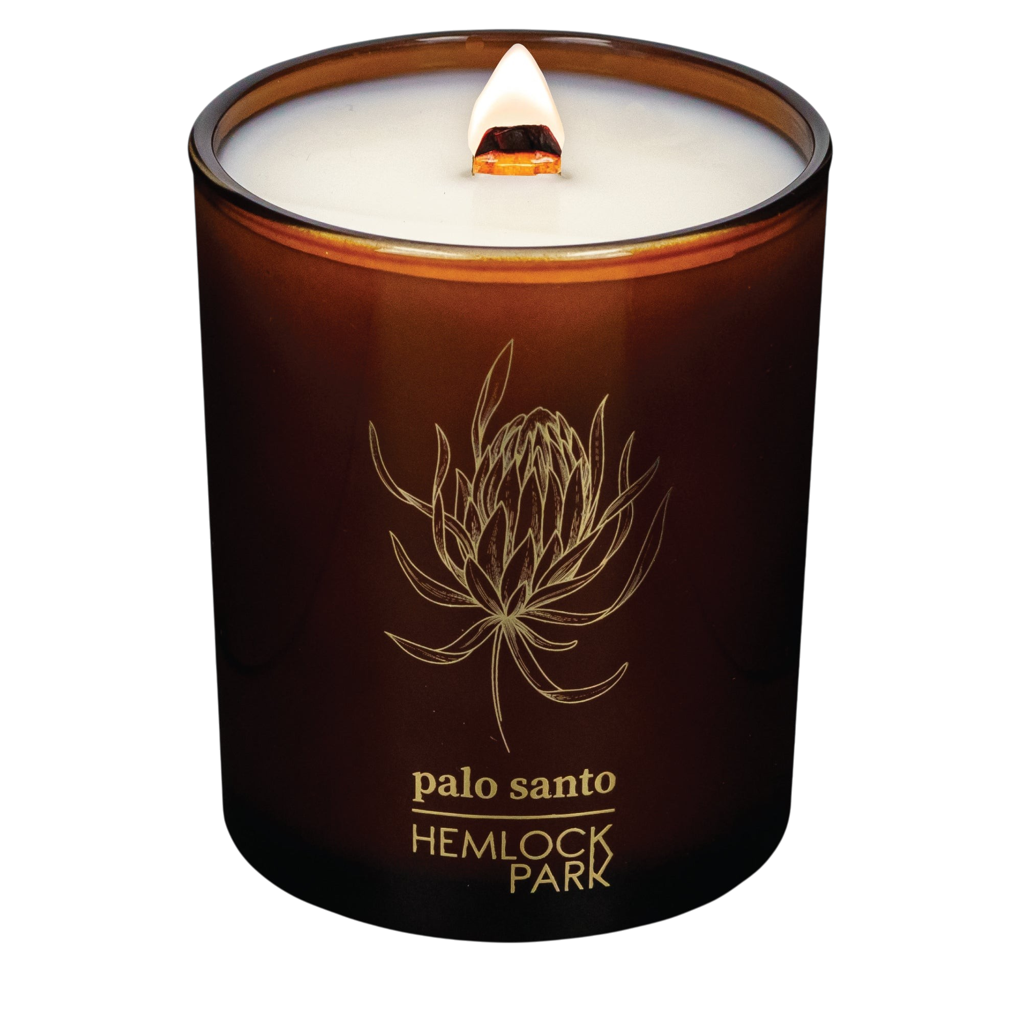 Hemlock Park Palo Santo Amber & Gold candle in a brown glass jar with a lit wooden wick and botanical illustration.