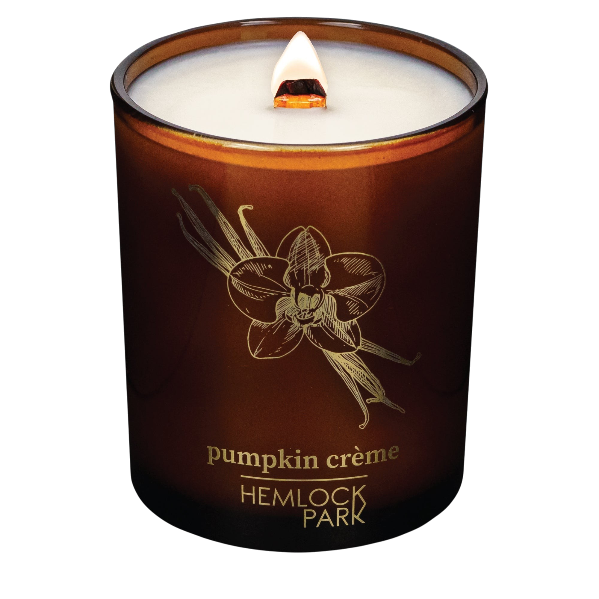 Hemlock Park Pumpkin Crème candle in an amber glass jar with a gold vanilla flower illustration and wood wick.