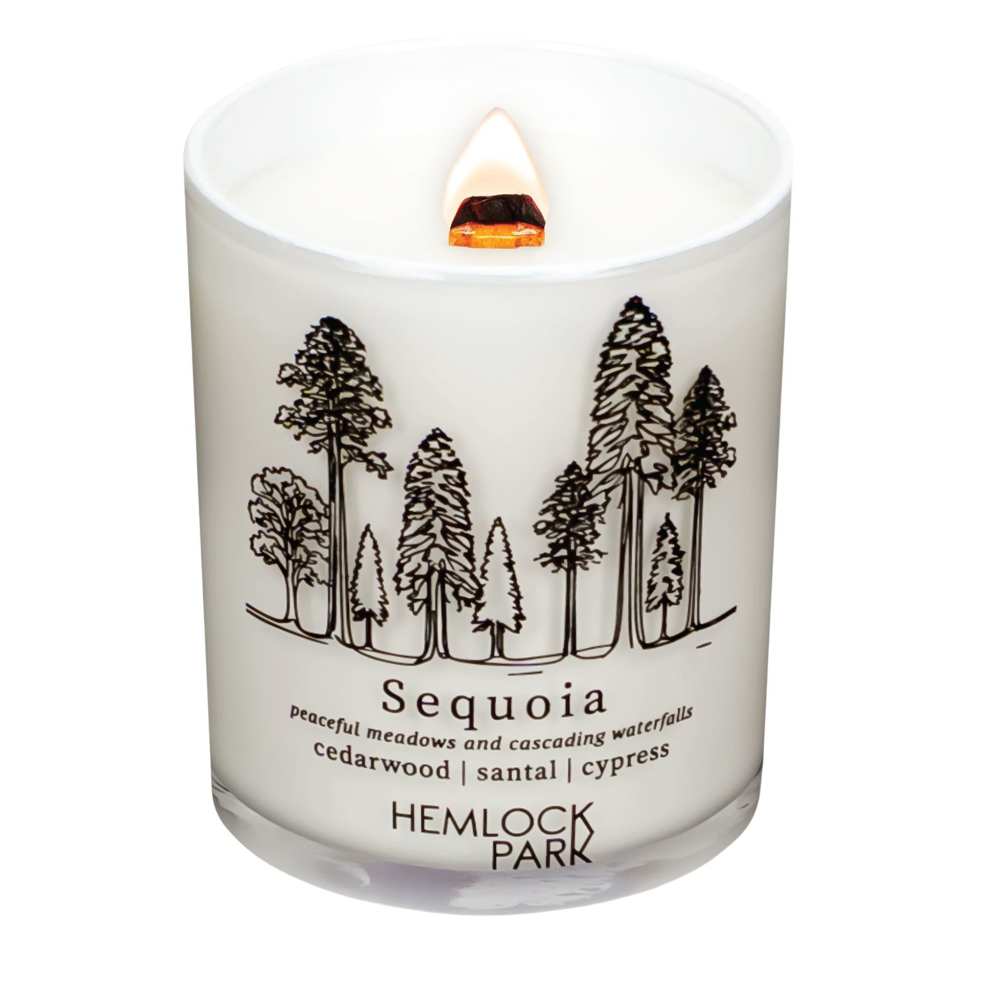 Hemlock Park Sequoia Postcards candle in a white glass jar with a forest illustration and a burning wooden wick.