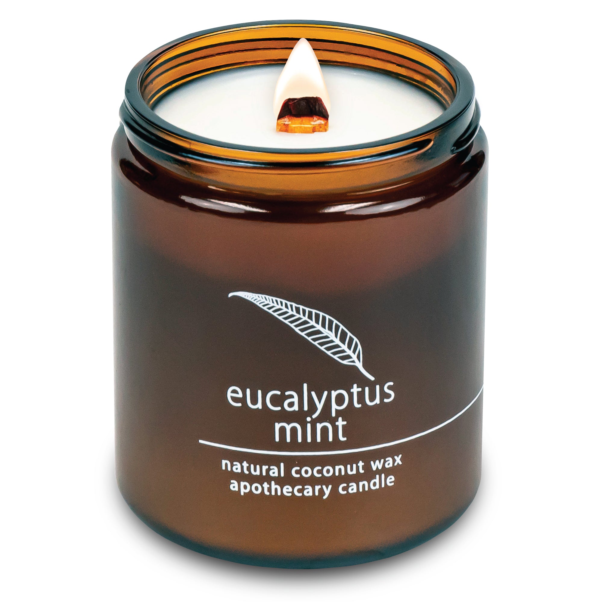 Eucalyptus Mint wood wick candle plant-based coconut wax Hemlock Park 8 oz